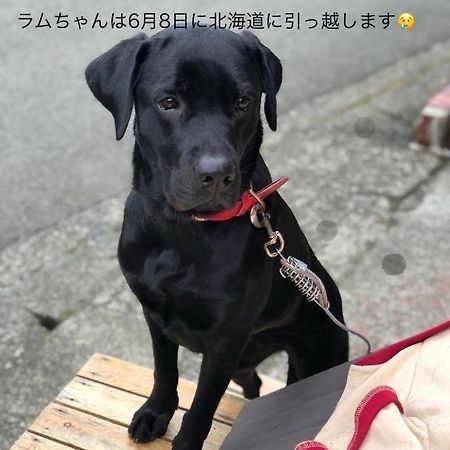 Hakone Guesthouse Toi מראה חיצוני תמונה