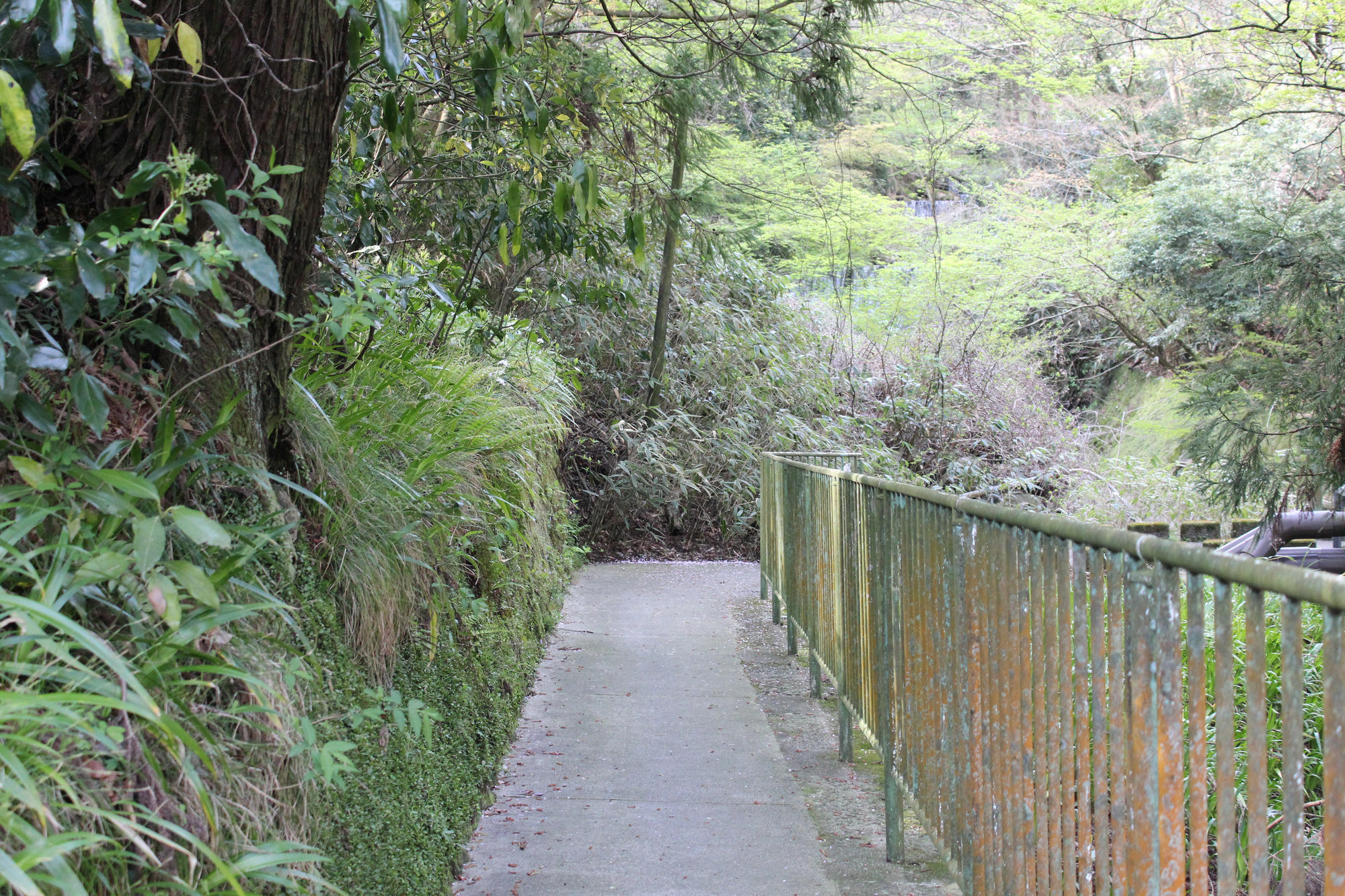 Hakone Guesthouse Toi מראה חיצוני תמונה