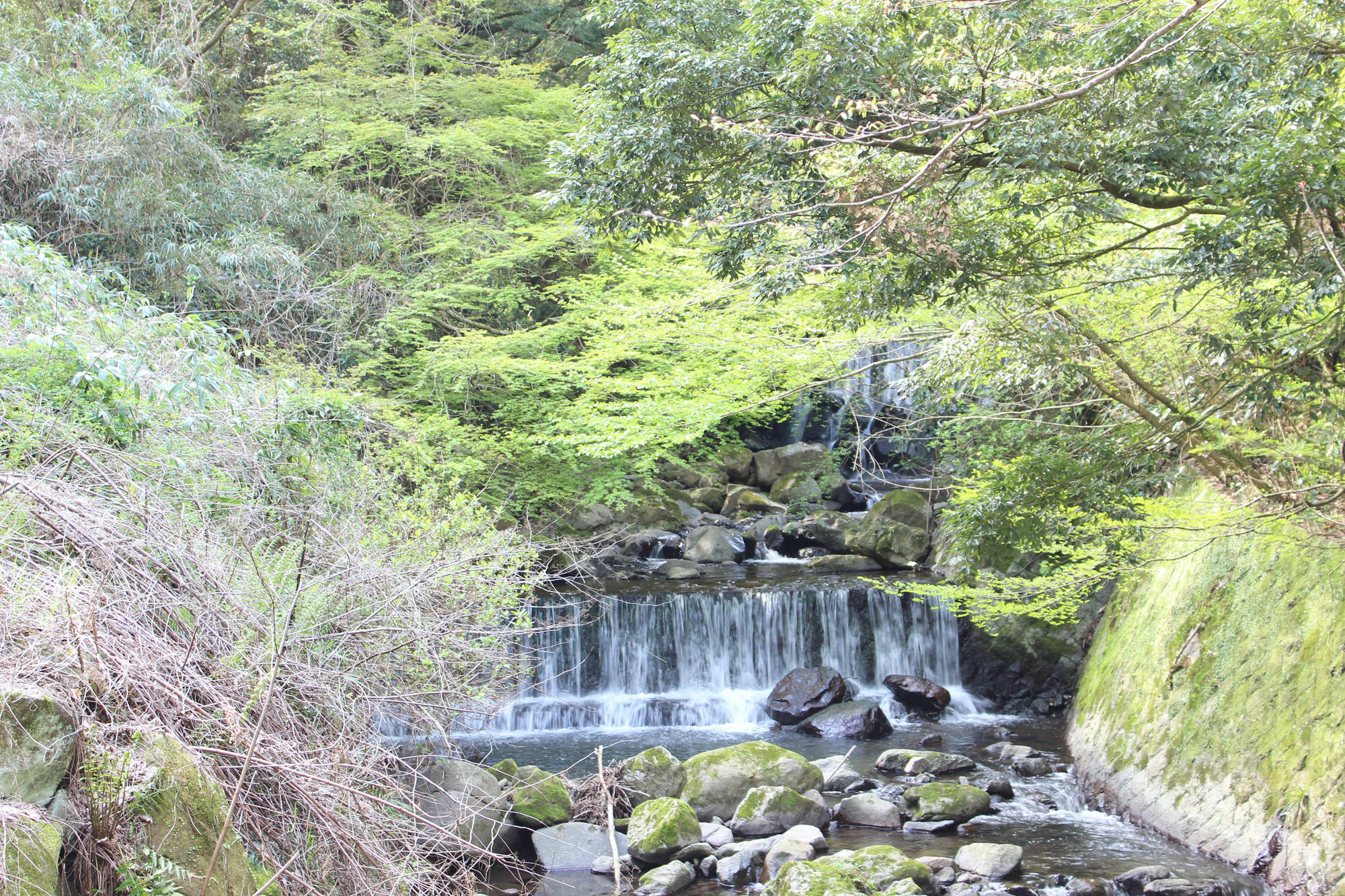 Hakone Guesthouse Toi מראה חיצוני תמונה
